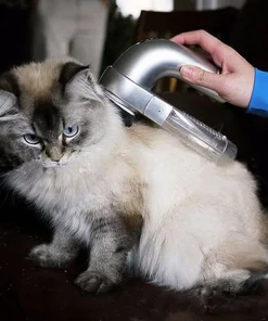 Best handheld vacuum for pet hair