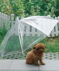 Rainproof Umbrella Dog Leash For Small Dogs
