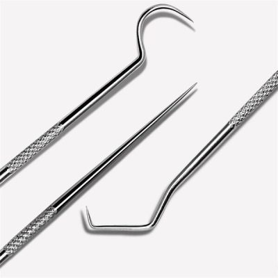Stainless Steel Toothpick Set