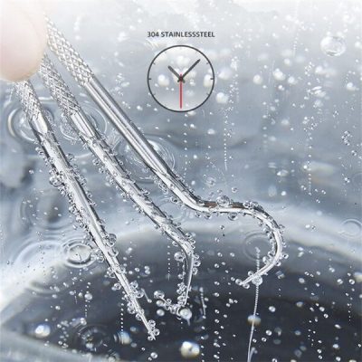 Stainless Steel Toothpick Set