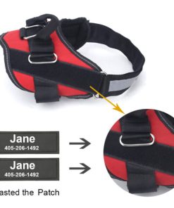 Personalized No Pull Dog Harness