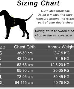 Personalized No Pull Dog Harness