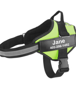 Personalized No Pull Dog Harness