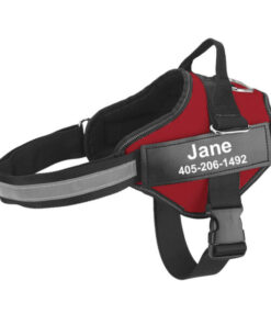Personalized No Pull Dog Harness