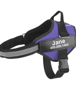 Personalized No Pull Dog Harness