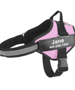 Personalized No Pull Dog Harness