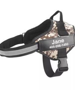 Personalized No Pull Dog Harness