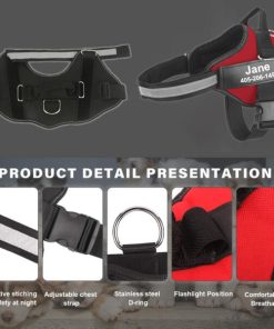 Personalized No Pull Dog Harness