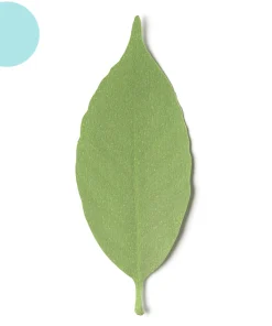 Color Changing Leaf Thermometer