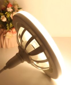 Remote Control Ceiling Fan Lamp