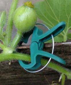 20 Pcs Plastic Plant Support Clips