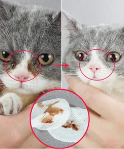 Pet Tear Stain Wipes