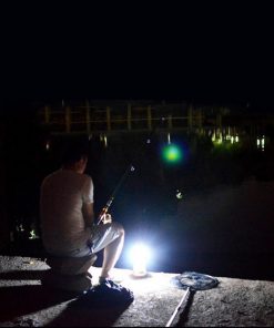 Imported Lights for Outdoor Fans