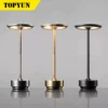 Metallic Cordless Table Lamp