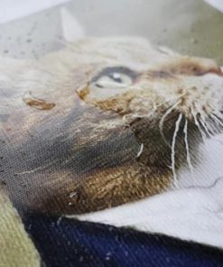 Ybuyoo Mushroom Aesthetic Room Decor Poster