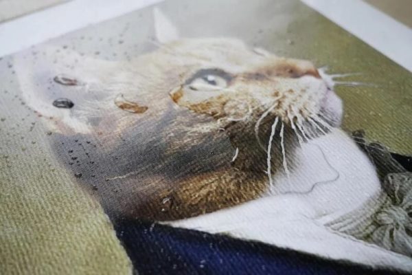 Ybuyoo Mushroom Aesthetic Room Decor Poster