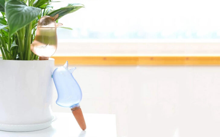 Gifts For Environmentalists