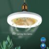 Remote Control Ceiling Fan Lamp