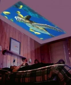 Portable Mini Projector