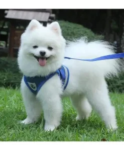 Vest Style Reflective Dog Rope