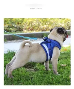 Vest Style Reflective Dog Rope