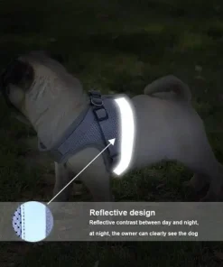 Vest Style Reflective Dog Rope