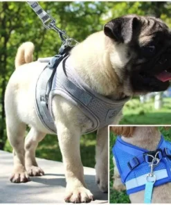 Vest Style Reflective Dog Rope