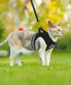 Vest Style Reflective Dog Rope