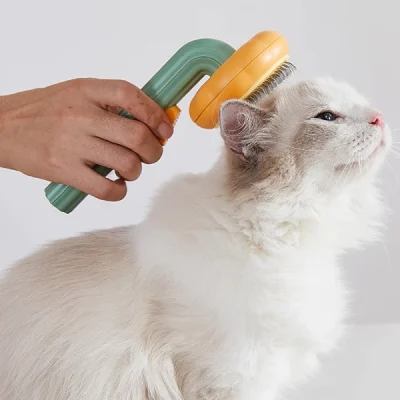 Pumpkin Brush Pet Deshedder