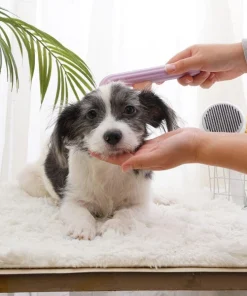 Pumpkin Brush Pet Deshedder