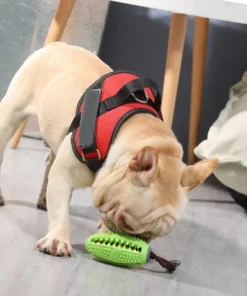 Double-Sided Rubber Blade Dog Teeth Brush