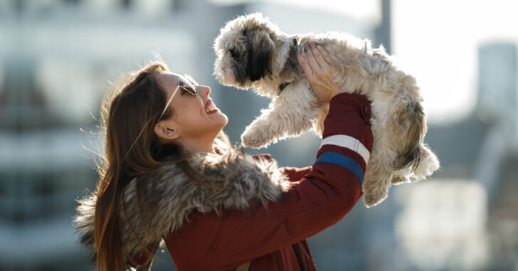 35 Nifty, Essential, & Practical Things To Buy For A New Puppy