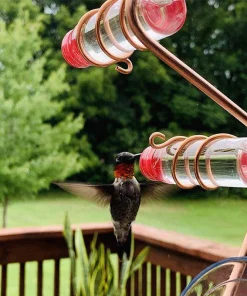 Window Hummingbird Feeder