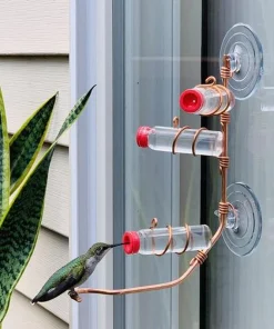 Window Hummingbird Feeder