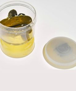Pickle Flip Jar
