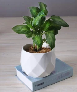 Ceramic Diamond Planter For Indoor Plants
