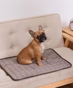 Pet Cooling Mat