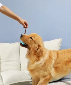 Double-Sided Rubber Blade Dog Teeth Brush