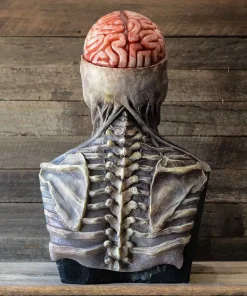 Bare Brain Skull Latex Mask