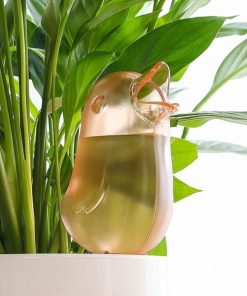 Garden Bird-Shaped Plant Waterer