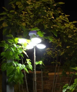 Folding Solar Lamp