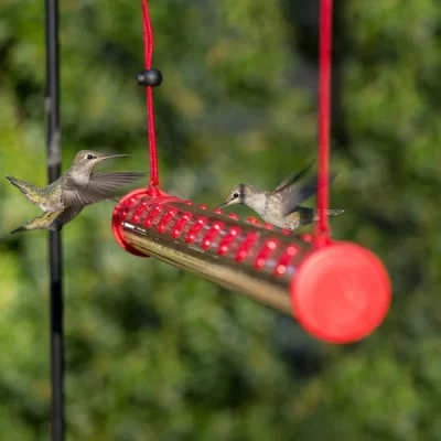 Leak-Proof Hummingbird Water Feeder