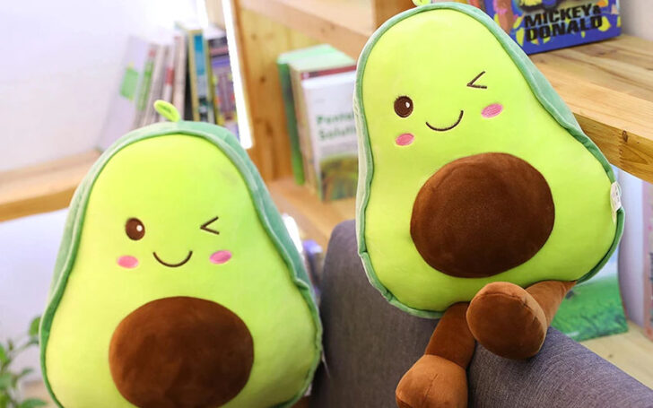 Gifts For Indoor Gardeners