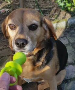 Dog Pacifier Chew Toy