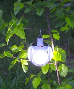 Folding Solar Lamp