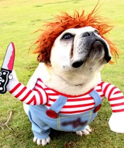 Halloween Dog Costumes