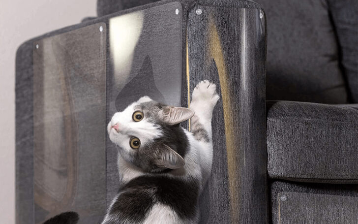 Gifts That Start With F