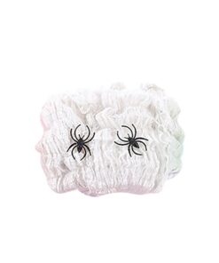 Halloween Decorative Spider Web