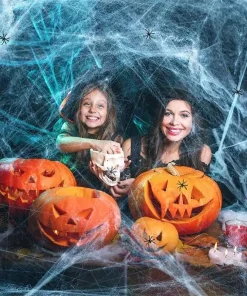 Halloween Decorative Spider Web