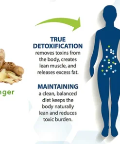 OdorFit Slimfast Aromatherapy Detox Breathe Stick